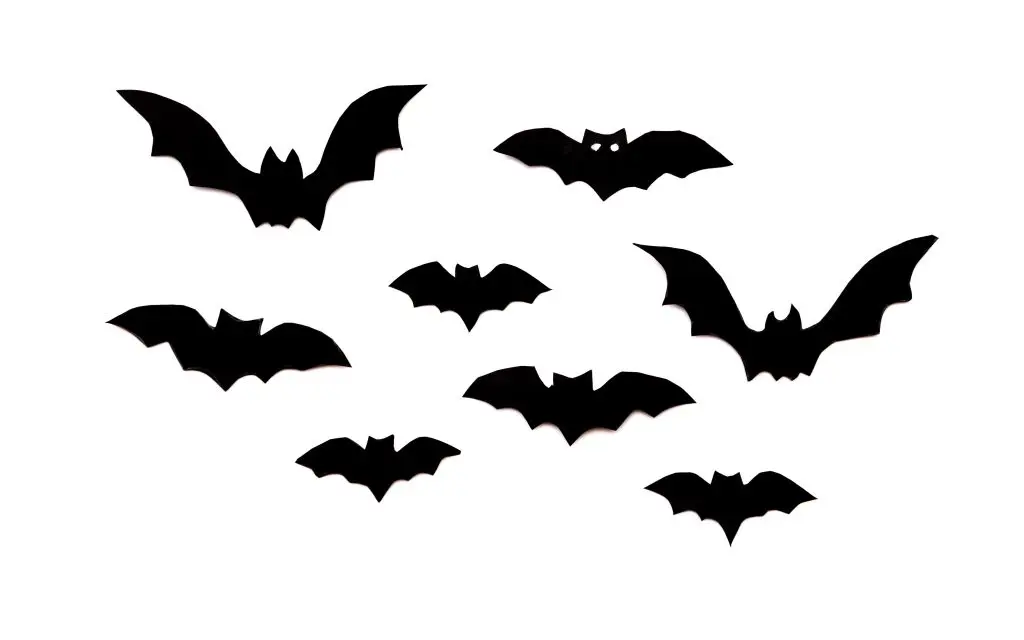 black paper bats flying on white background hallo 2024 07 26 16 45 08 utc